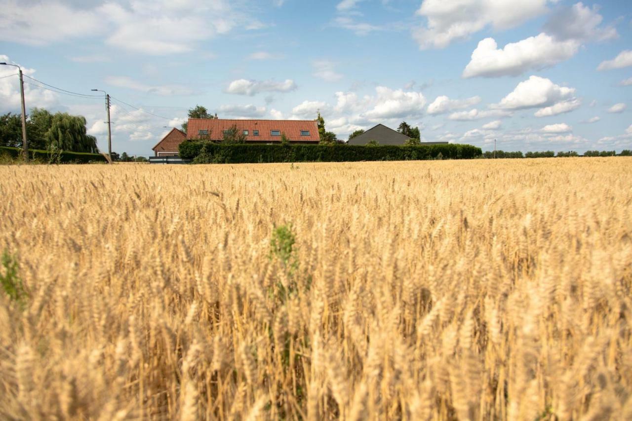 Gites De La Vesee La Chapelle d'Armentieres エクステリア 写真